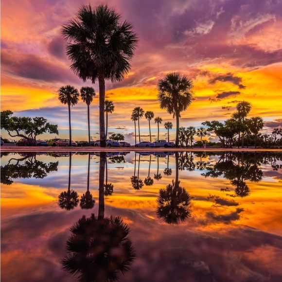 Meet your Posher, Posh - Picture 7 of 9